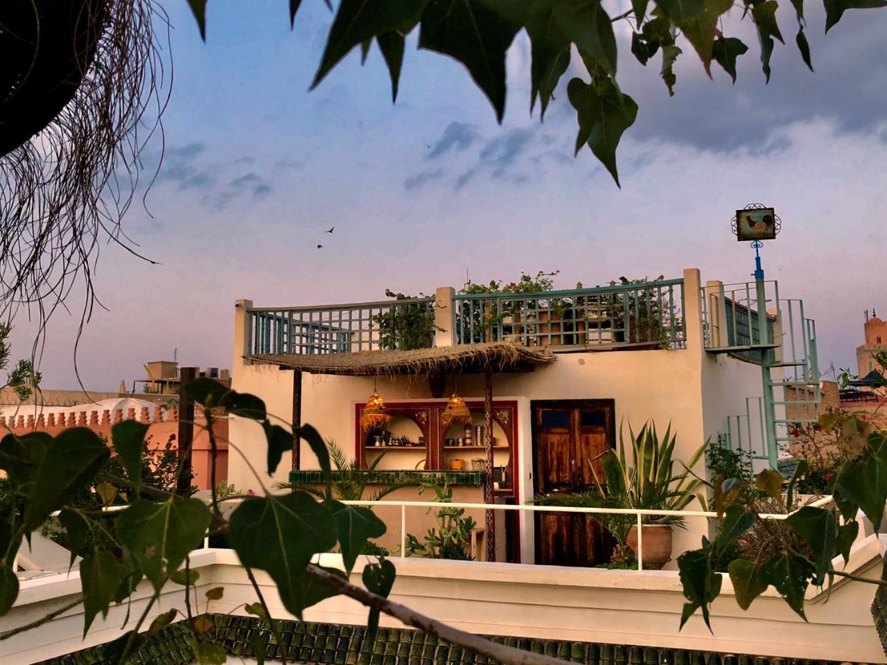 Riad Le Coq Berbere Marrakesh Exteriör bild